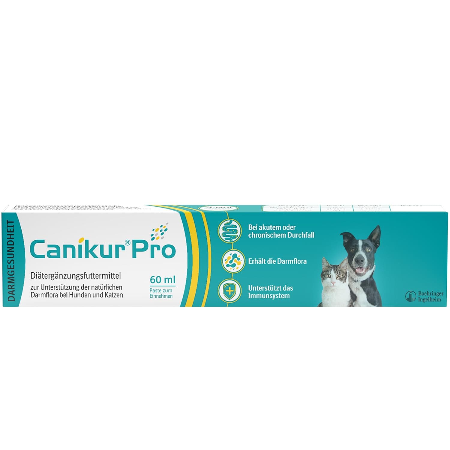Canikur Pro 60ml Paste Syringe - clear