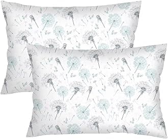 Dandelion Throw Pillow Cover Queen Size Set of 2,Floral Lumbar Pillow Case Flowers Pillowcases Soft Standard Pillow Cases with Zipper Decorative Bedding Cushion Covers for Bedroom,Couch,Sofa,20"x30"