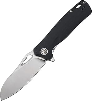Petrified fish PF868 Bunta,3.35" D2 Satin Blade,146g G10 Handle Flipper Folding knife (Black G10, Satin)