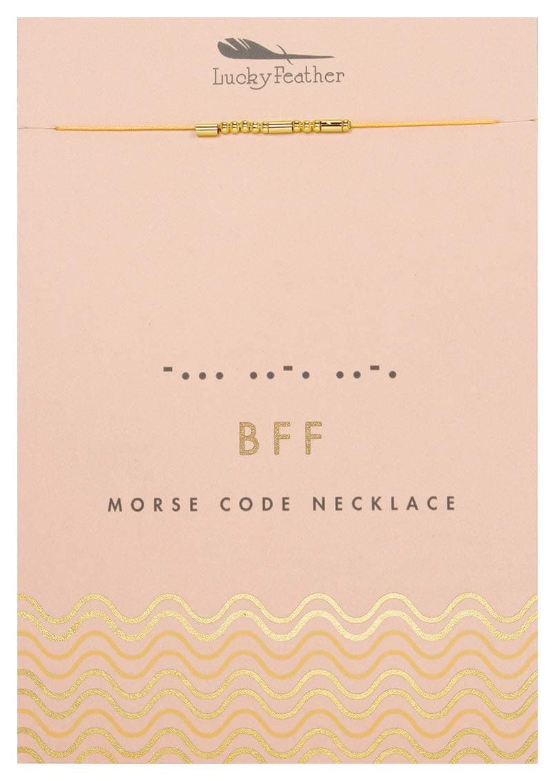 Lucky Feather Morse Code Secret Message Necklace