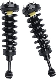 PAROD 171361 Front Shock Absorbers Struts w/Coil Spring Assembly fit for 2004-2007 Ford F-150, 2008 Ford F-150, 2006-2008 Lincoln Mark LT 4WD（Set of 2）