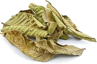 Whole Dried Graviola Soursop Leaves (4 oz - 330+ Leaves Per Bag) Hoja De Guanabana, 100% All Natural Delicious Fresh Tea | From Mexico | Premium