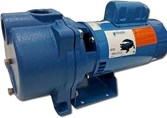 GOULDS Pumps GT20 IRRI-Gator Self-Priming Single Phase Centrifugal Pump, 2 hp, Blue