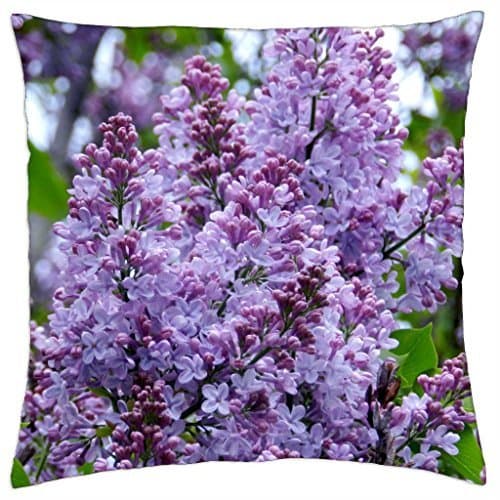 Customized Initial Real Pressed Flower Phone Case for Iphone 6(Only for Iphone 6 /4.7).