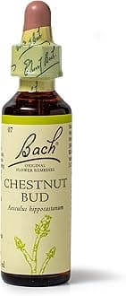 Bach Original Flower Remedies Chestnut Bud, Live The Day, Learn From Mistakes, Emotional Wellness, Natural Flower Essence, 20ml