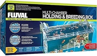 Multi-Chamber Holding and Breeding Box, Large – Up To 3 Separate Housing Compartments