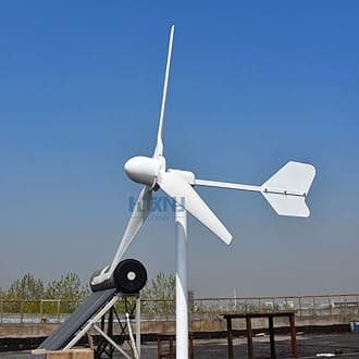 1000W 2000W 3000W Horizontal Wind Turbine 48v 96v 110V 120V 220V Generator for Home Use Free Energy Wind Power Windmill (220V, 3000W)