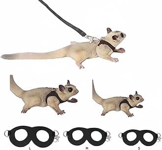 MANON ROSA Sugar Glider Harness & Leash Set - Escape-Proof 3-Piece Adjustable Vest for Squirrels Rats Mice Mouse & Small Animals - Hamster Gerbil Walking Gear, Pet Toy Accessories, Black