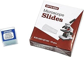 E35.3501 Blank Microscope Slides & 100-Pieces Square Cover Glass, Glass