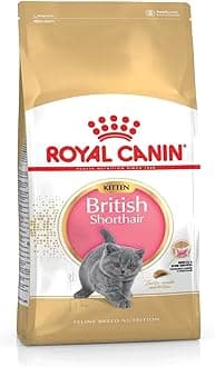 British Shorthair Kitten Dry Food - 2KG