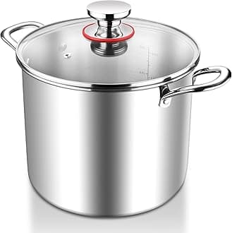HaWare Large Stock Pot, 10L 25.5cm Tri-Ply Stainless Steel Soup Pot with Visible Lid for Pasta/Meat, Metal Cooking Induction Stockpot, Suit for All Kitchen Stove Top, Healthy & Non Toxic, Easy Clean
