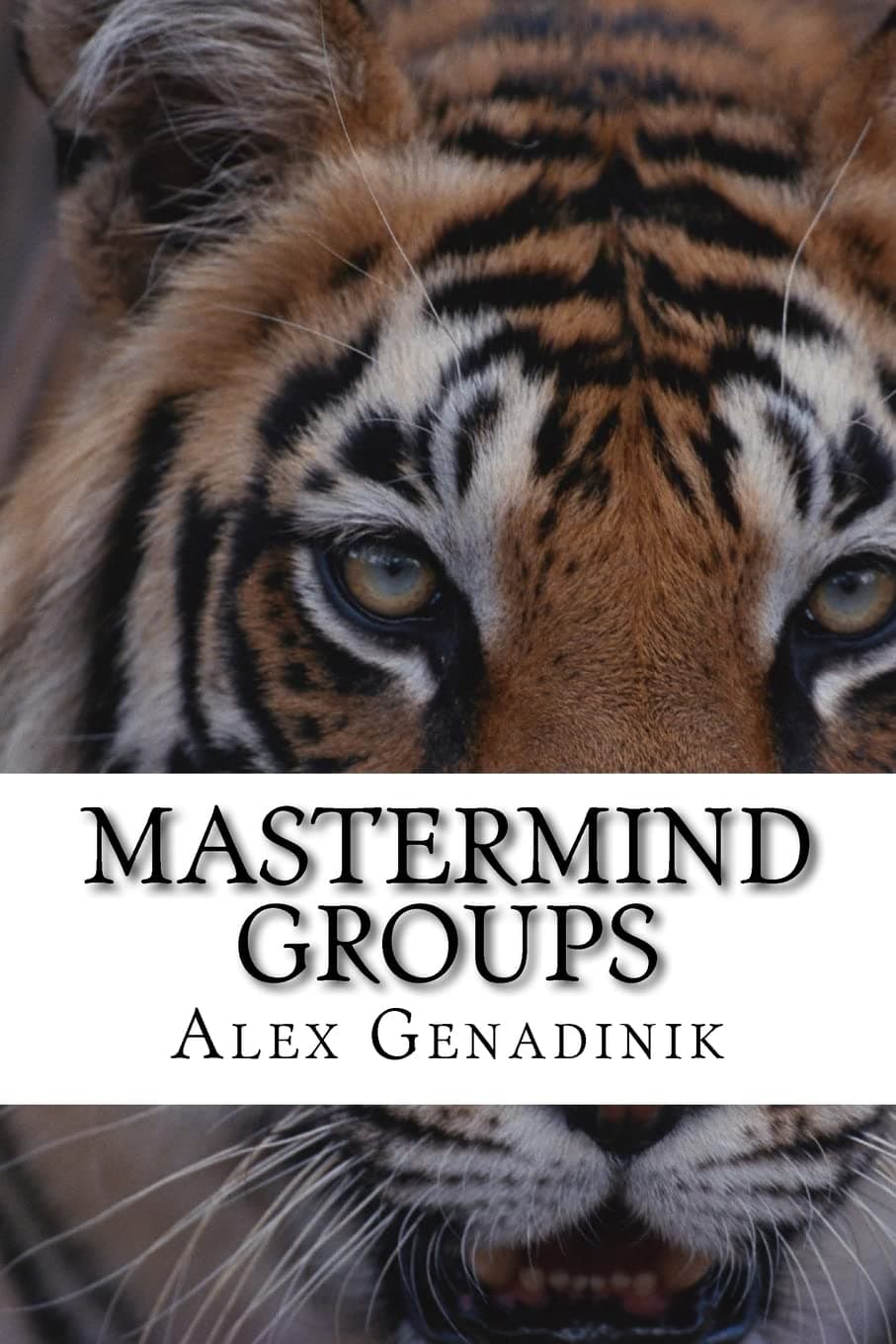 Mastermind Groups: Start & Succeed With Mastermind Groups Paperback – November 27, 2015