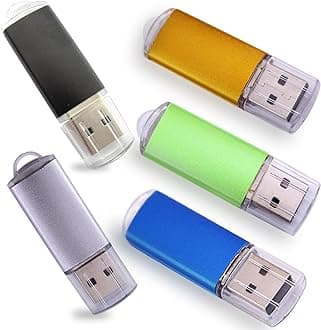USB Flash Drives 2.0 Metal Key Pack of 5 Colors (256MB,Not GB,Smaller Than 1GB,Blank)