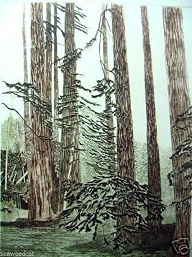 Ava Maria: Primieval Forest