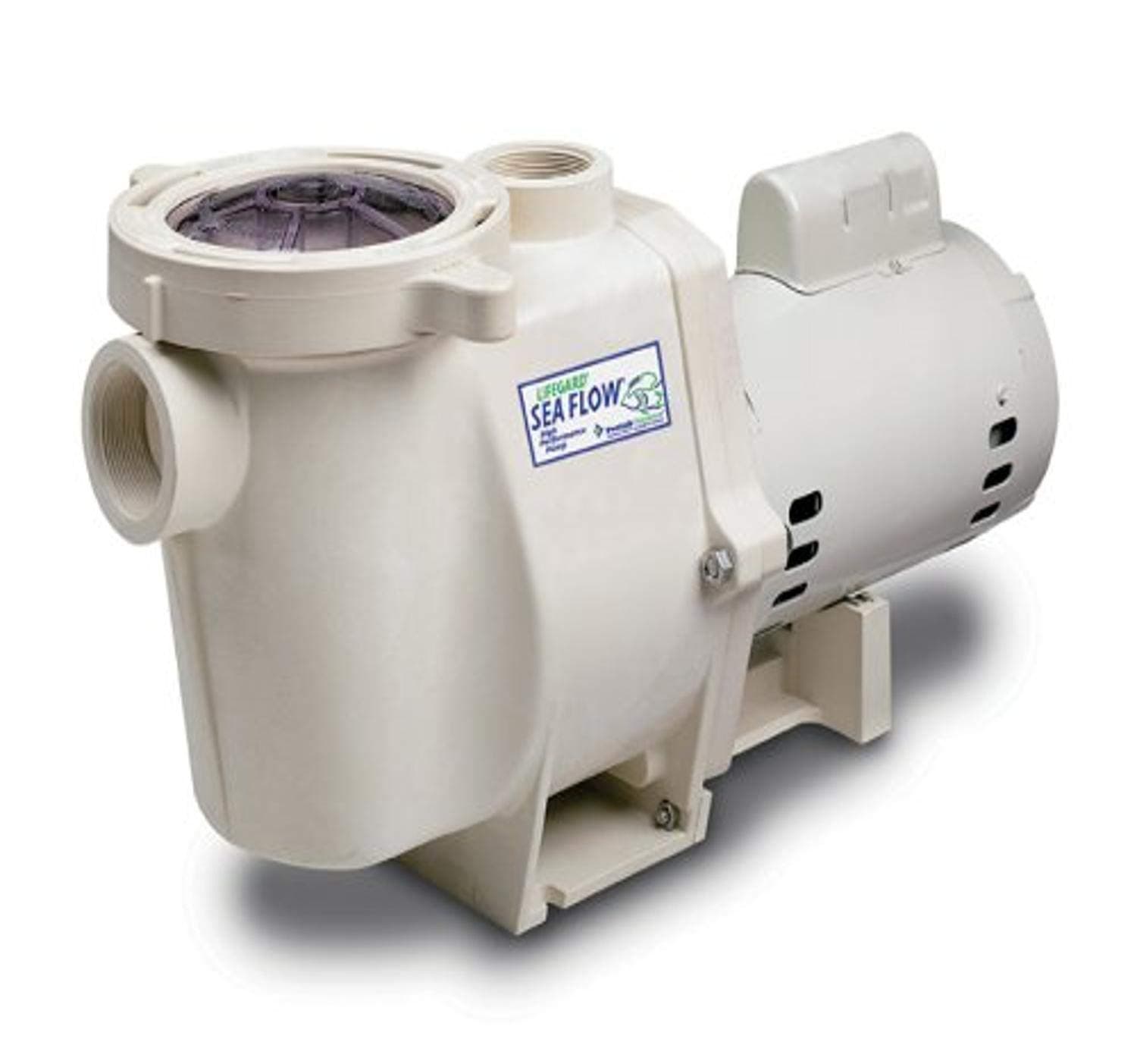 Sea Flow 3 HP Pump
