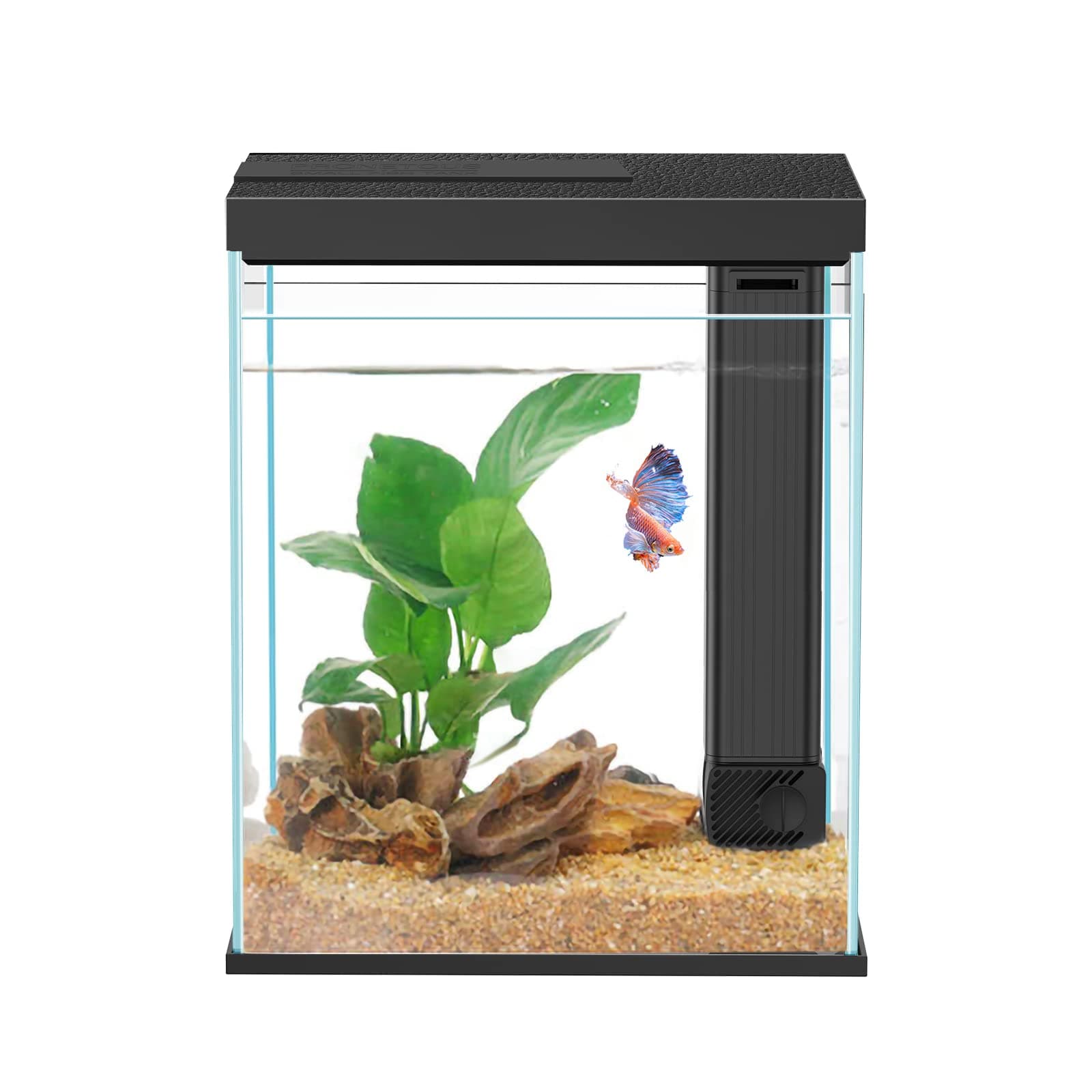 Betta Fish Tank, 2 Gallon Glass Aquarium Starter Kit, Small Fish Tank with Fi...