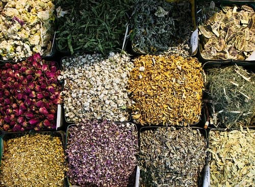 Herbal Sampler: Healing Herbs