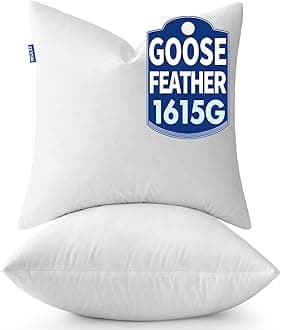 MIULEE 26 x 26 Goose Feather Down Pillows with 100% Cotton Cover, Set of 2 Soft Fluffy Decorative Pillow Inserts for Sofa Bed Couch Living Room White