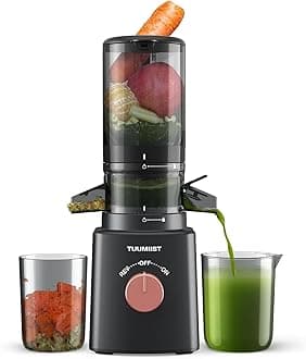 Juicer Machines, Cold Press Juicer with 4.25'' Large Feed Chute Fit Whole Vegetable And Fruit, Masticating Juicer Easy To Clean, Gun Grey