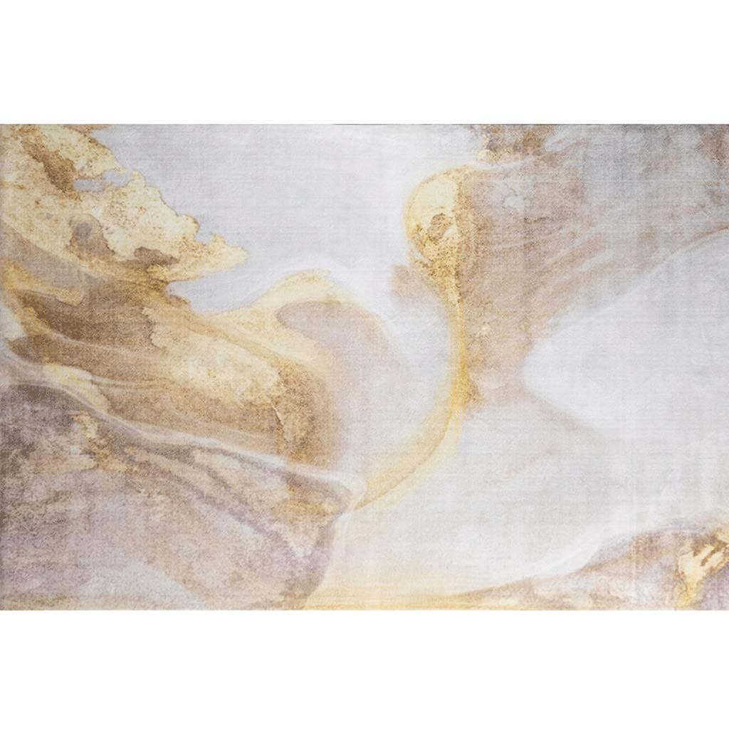 Rugs Nordic Creative Abstract Rectangular Carpet Comfortable and Durable Nylon Rug Bedroom Living Room Home Decoration Rugs Carpet (Color : B, Size : 160x240cm)