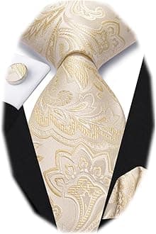Mens Paisley Floral Silk Tie for Men Striped Necktie and Pocket Square Cufflinks Set Wedding Business
