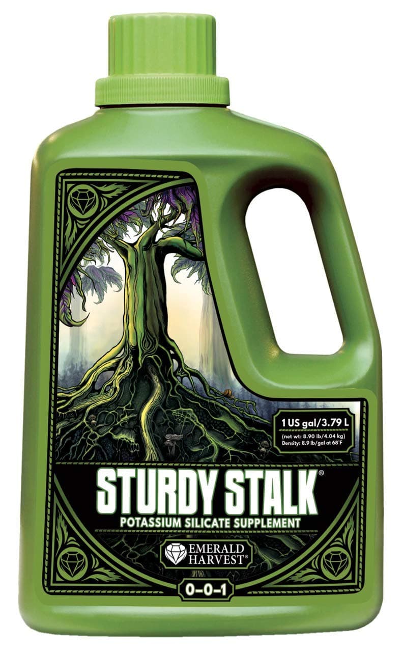 Sturdy Stalk (1 Gallon)