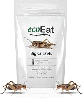 Edible Insects Big Black Crickets to Eat – Edible Bugs Edible Dehydrated Crickets - Snack Food Gifts (15g)