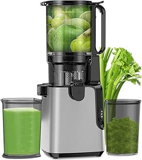 Juicer Machines with 6.1" Extra Large Feed Chute, Cold Press Juicer Fit Whole Vegetables and Fruits, 350W Professional Masticating Juicer Easy to Clean for Batch Juicing (Silver)