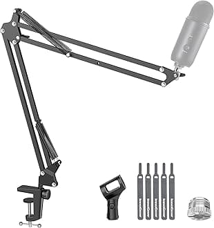 Boom Arm Microphone Mic Stand for Blue Yeti HyperX QuadCast SoloCast Snowball Fifine Shure SM7B and Other Mic, Extended Mic Arm (Black)