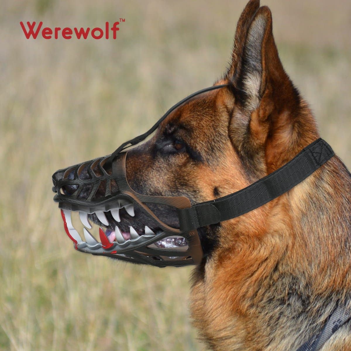 Dog Muzzle with Adjustable Metal Buckle, Sharp, Large