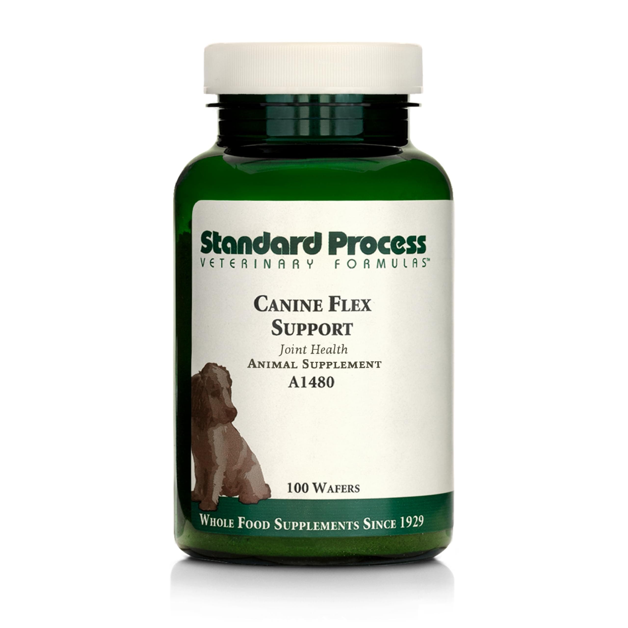 Standard Process - Canine Flex Support - 100 Wafers