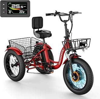 NAIZEA Electric Tricycle Adult Electric Bicycles,Electric Trike,3 Wheel Electric Bike Ebike E Bicycle with Removable Battery, Motorized Trike with Basket for Women Men