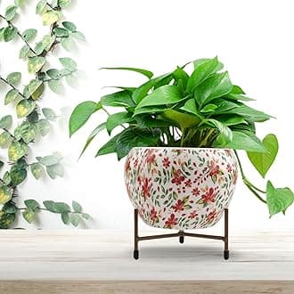 CINAGRO Metal Flower Vase Planter Pot with Iron Stand, Pots for Plants, Plant Pots for Home Decoration, Succulent Pot, Indoor Planter Balcony Garden Decor (Size: 6X6 inch) Style: Floral Fresco