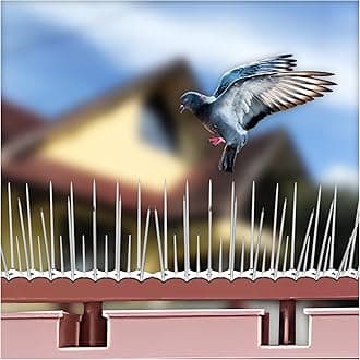 SWAPKART (Pack of 30) Bird and Pigeon Spikes, Pigeon Control Spikes Anti Bird Plastic Spikes for AC Balcony Railing Window Home Protection from Pigeon Dog Monkey Crow Kabootar Transparent
