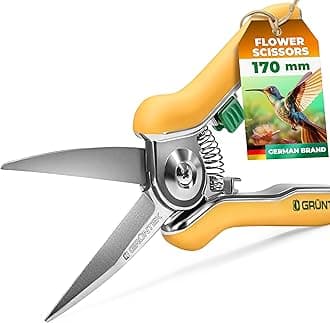 Colibri Flower Snips – 170 mm Bypass Pruner with Stainless Steel Blade | Soft-Touch Handle | Garden Trimmer Scissors for Plants & Flowers