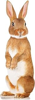 STAR CUTOUTS SC1120 Cute Bunny Rabbit Cardboard Cutout Perfect for Animal Parties and Pets Fans and Collectors 90cm Tall, Multicolour