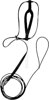 The AVIATOR Bird Harness and Leash: Small Black