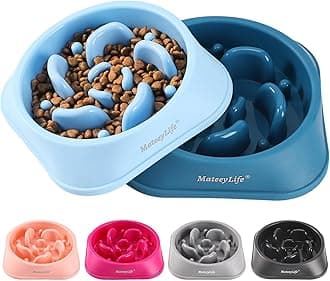 Slow Feeder Dog Bowls 2PCS, Anti-Choking Puzzle Dog Food Bowls, Anti-Slip Interactive Feeding Slow Down Eating, Bloat Stop Maze Dishes for Medium Breeds