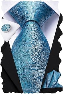 Hi-Tie Silk Paisley Ties for Men Necktie Pocket Square Cufflinks Set Foral Tie Sets Formal Business