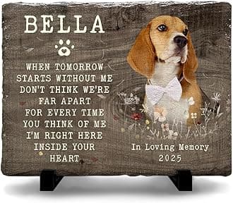 Personalized Memorial Stone - Multihued Plaque to Mark Vibrant Memory of Your Dog and Cat, Elegant Home and Garden Decor, Indoor and Outdoor, Pet Loss of Sympathy Gift