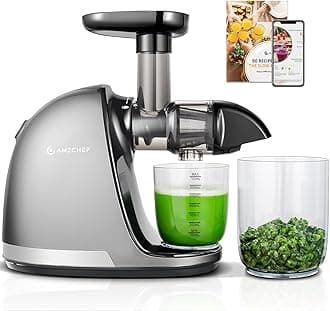 AMZCHEF Juicer Machines - Cold Press Slow Juicer - Masticating Juicer for Whole Fruits and Vegetables - Delicate Chew No Need to Filter - BPA Free Juice Extractor with 2 Cups and Brush - Grey