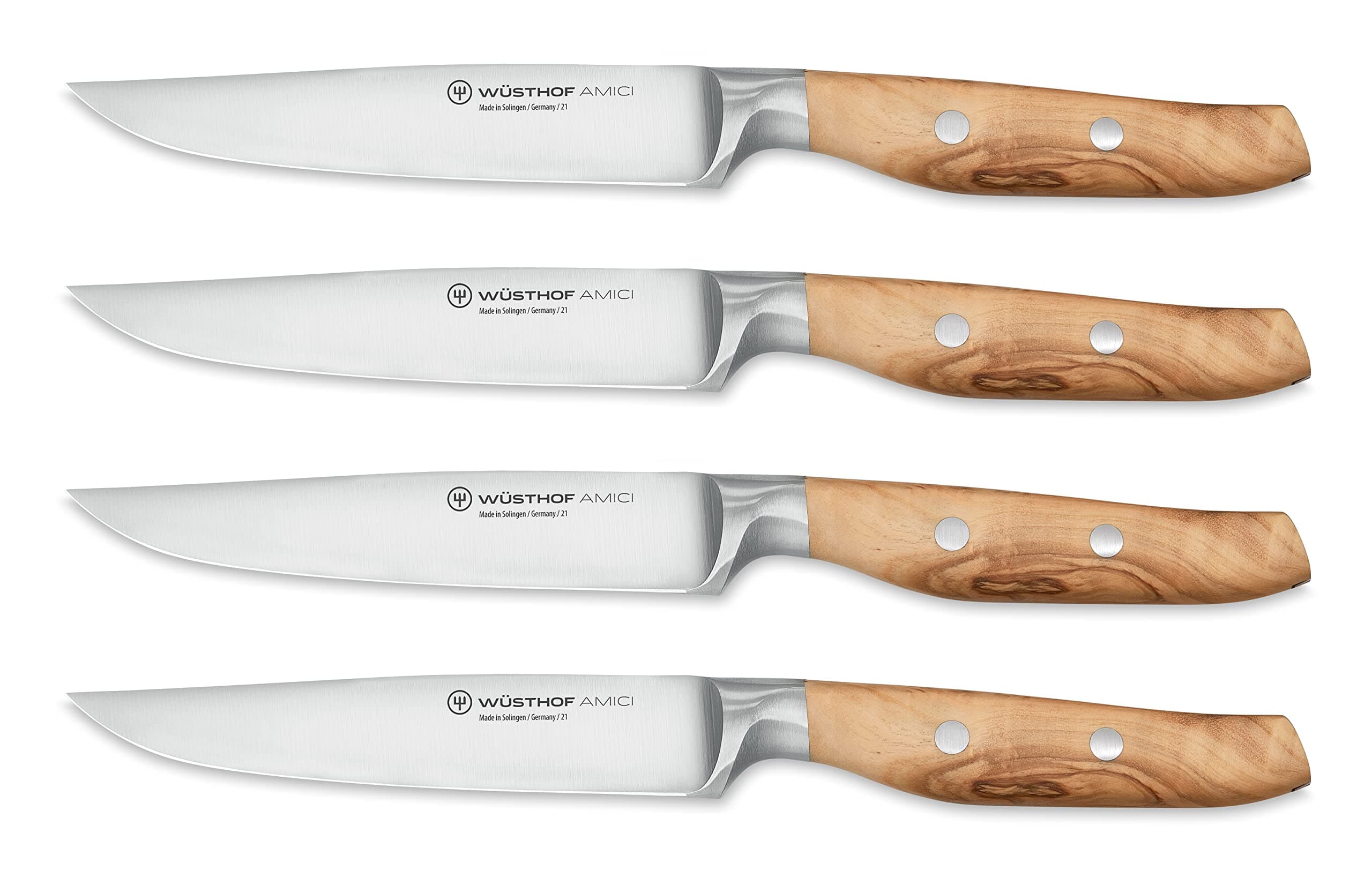 Amici 4-Piece Steak Knife Set