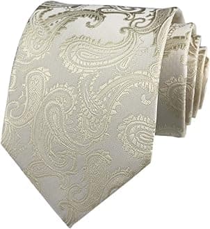 Men Novelty Paisley Ties Cravat Jacquard Luxury Designer Wedding Formal Neckties