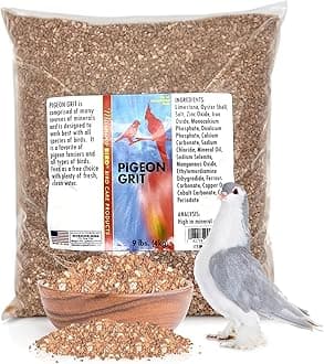 Morning Bird Pigeon Grit - Healthy & Nutritious Pigeon Food to Support Strong Muscles & Bones for Grit Eating Birds - Supports Digestion & Packed with Essential Minerals 9 lbs