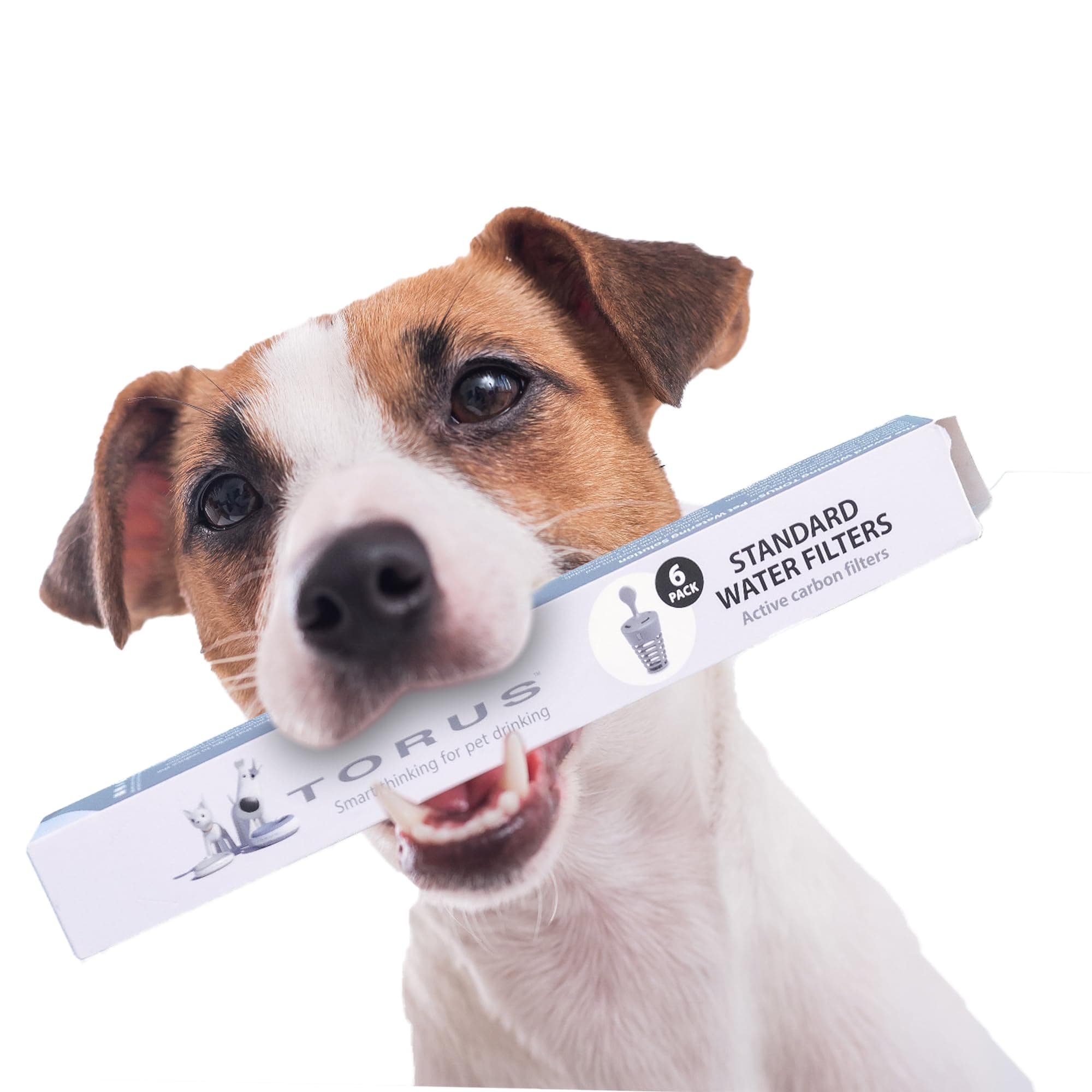 Standard Replacement Filters (6-Pack)