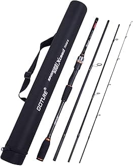 Travel Fishing Rods 4Pcs,Casting/Spinning Rod with Case 6ft-10ft