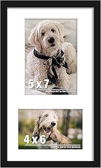 8x14 Picture Frame Collage Display 4x6 and 5x7 Photos for Available Horizontal Wall Mounting Display and Vertical Black