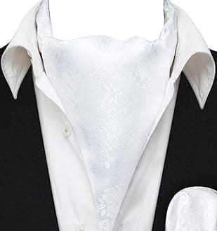 HISDERNCravat for Men Silk Paisley Mens Cravat and Pocket Square Set Polka Dot Ascot Tie and Handkerchief for Wedding Party Christmas