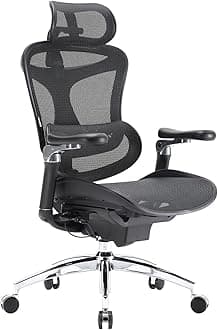 Doro C300 Pro Ergonomic Office Chair with Ultra Soft 6D Armrests, Dynamic Lumbar Support for Home Office Chair, Adjustable Backrest Desk Chair, Swivel Big and Tall Office Chair (Black)