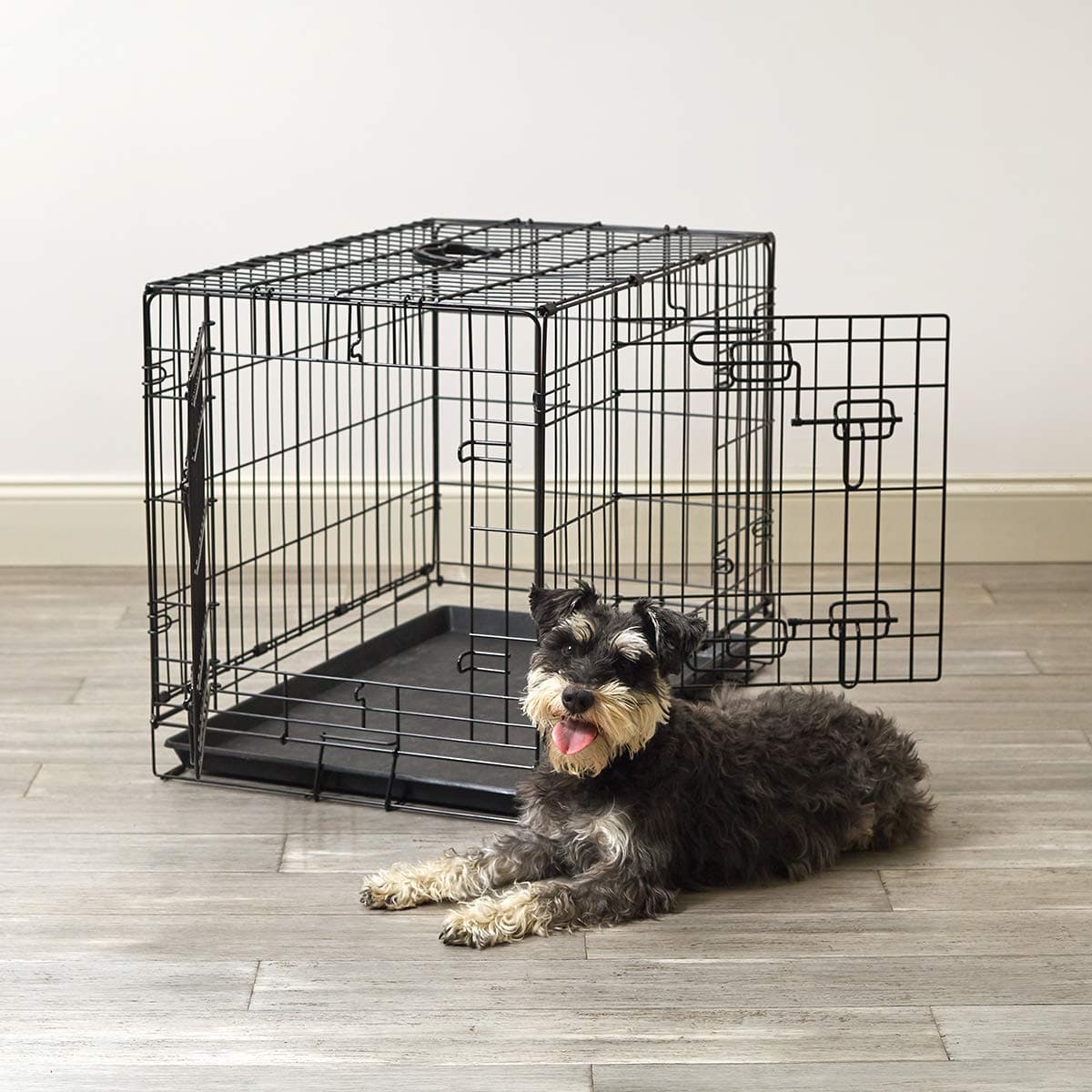 Metal Foldable Pet Crate, Medium